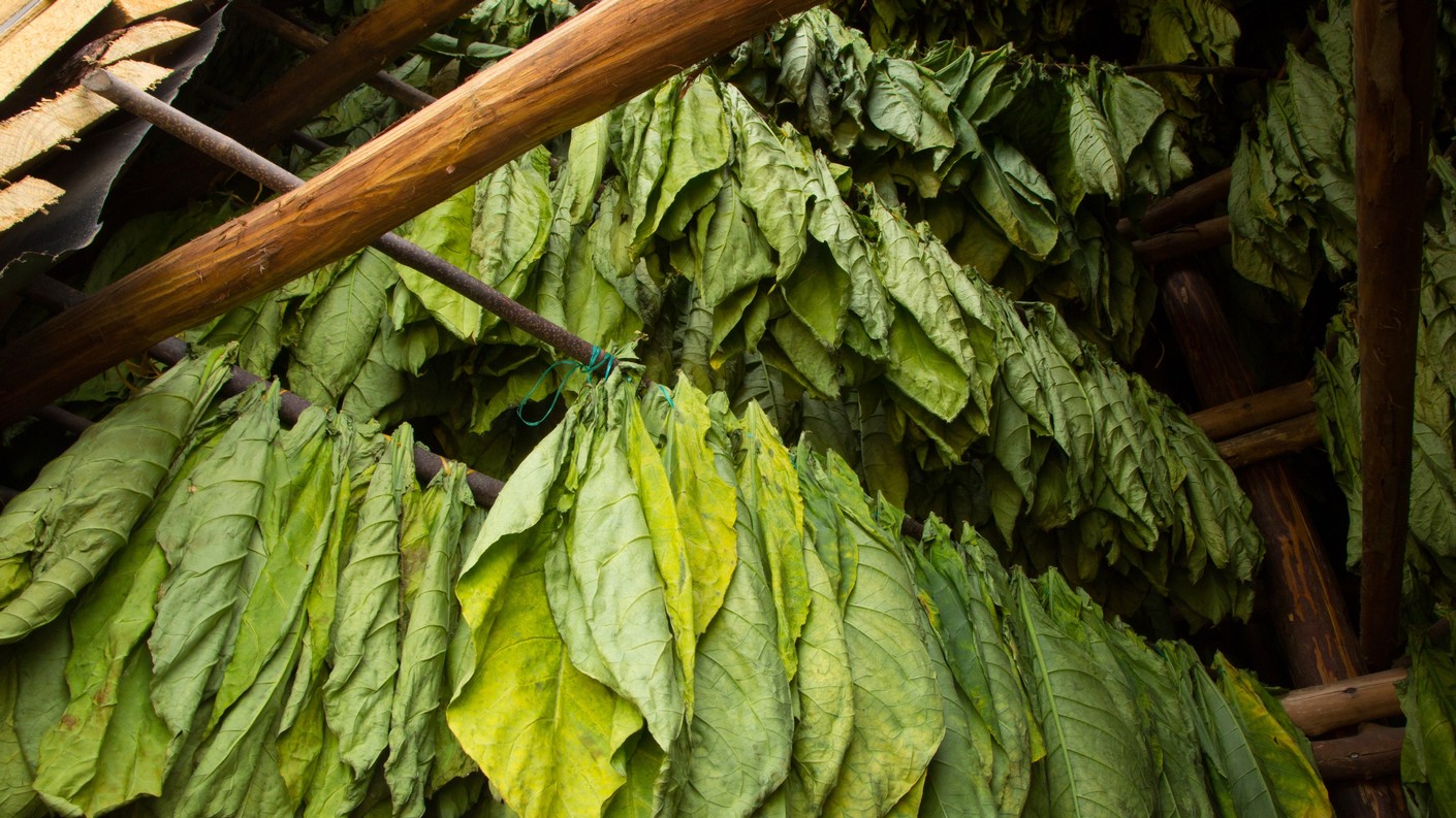 Poč&aacute;tek su&scaron;en&iacute;