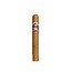 Ashton Cabinet No.6 Robusto
