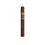 Ashton Vsg Corona Gorda