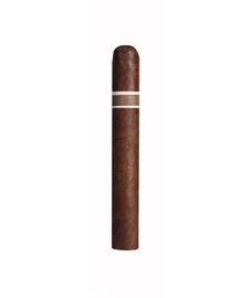 Roma Craft Aquitaine Cranium Habaec