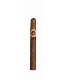 Joya De Nicaragua Celebration Corona