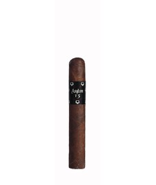 Asylum 13 Robusto
