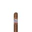 Perdomo Lot 23 Gordito Sun Grown