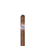 Perdomo Lot 23 Robusto Sun Grown