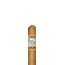 Perdomo Lot 23 Gordito Connecticut