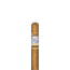 Perdomo Lot 23 Robusto Connecticut