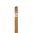 Perdomo Lot 23 Toro Connecticut