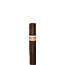 Roma Craft Neanderthal Kfg Robusto Export