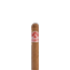 Aladino Cameroon Robusto