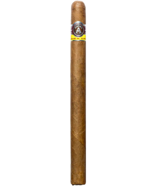 Aladino Corojo Patton