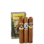 Aladino Sampler Rothschild