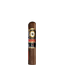 Perdomo Double Aged 12Yo Vintage Robusto Sun Grown