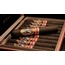 Arturo Fuente God Of Fire By Don Carlos Robusto - galerie #1
