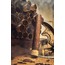 Rocky Patel The Edge Corojo Toro Tuboi - galerie #2