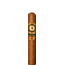 Perdomo Legacy Gordo Connecticut