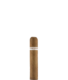 Roma Craft Intemperance EC XVIII Charity