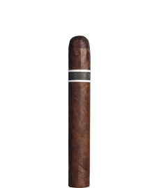 RoMa Craft CroMagnon Cranium