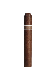 RoMa Craft CroMagnon Aquitaine Cranium